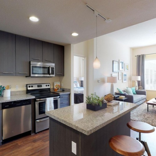 a kitchen with black cabinets